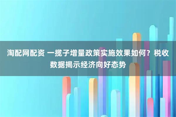 淘配网配资 一揽子增量政策实施效果如何？税收数据揭示经济向好态势